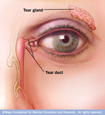 probleme de oftalmologie ale canalului lacrimal)