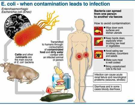 infectie urinara cu e coli simptome
